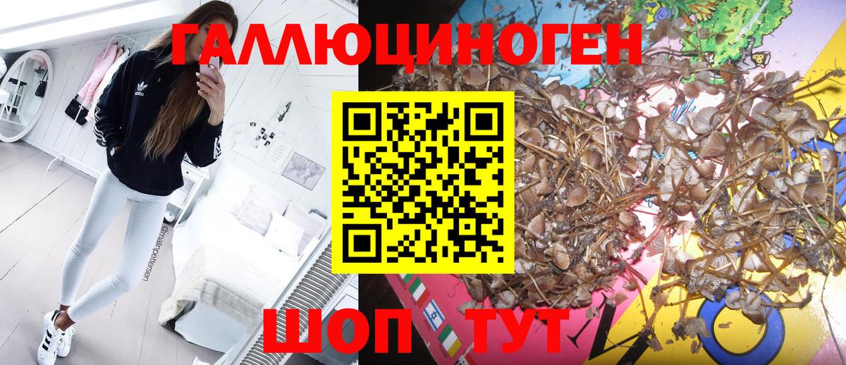Кемерово  Псилоцибиновые грибы прущие грибы  Вход с VPN  Галлюциногенные грибы MAGIC MUSHROOMS 